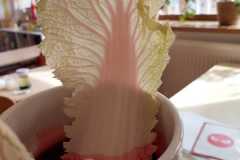 WhatsApp-Image-2026-03-24-at-16.44.29-7