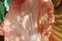 WhatsApp-Image-2026-03-24-at-16.44.29-8