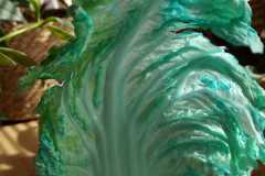 WhatsApp-Image-2026-03-24-at-16.44.29-9