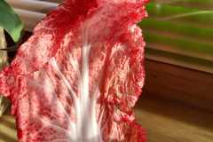 WhatsApp-Image-2026-03-24-at-16.44.30