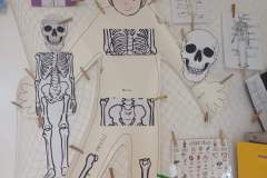 WhatsApp-Image-2026-02-27-at-17.51.42