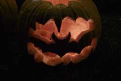 Obrazek-WhatsApp-2025-11-03-v-21.52.42_63e158e8