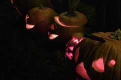 Obrazek-WhatsApp-2025-11-03-v-21.52.42_b6cde421