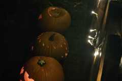 Obrazek-WhatsApp-2025-11-03-v-21.52.43_c30a2e7a