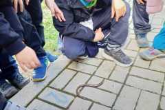 IMG-20220923-WA0001