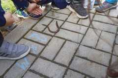IMG-20220923-WA0005