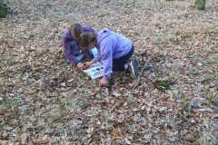 Obrazek-WhatsApp-2025-09-29-v-15.04.59_e2ed3cd5