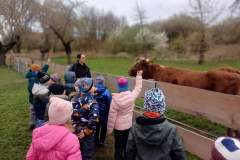 Obrazek-WhatsApp-2025-04-07-v-15.34.15_aafa7941