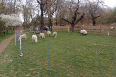 Obrazek-WhatsApp-2025-04-07-v-15.34.16_d587342c