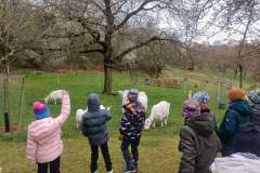 Obrazek-WhatsApp-2025-04-07-v-15.34.17_1541d70c