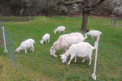 Obrazek-WhatsApp-2025-04-07-v-15.34.17_d0168ac4