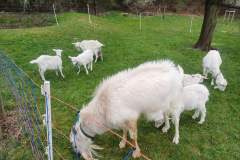 Obrazek-WhatsApp-2025-04-07-v-15.34.21_05db551b