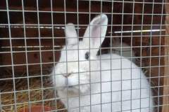 Obrazek-WhatsApp-2025-04-07-v-15.34.22_dce8498c