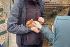 Obrazek-WhatsApp-2025-04-07-v-15.34.23_554a29d7