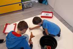 Obrazek-WhatsApp-2025-11-05-v-13.26.04_c473fea4