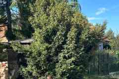 WhatsApp-Image-2026-04-22-at-14.14.09