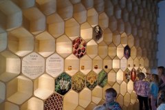 de247de5-155e-45a0-9818-a4b27c71a50d