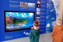 IMG-20240529-WA0010