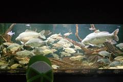 IMG-20240529-WA0018