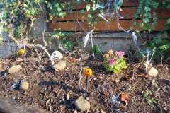 Obrazek-WhatsApp-2025-11-06-v-18.19.01_3536bdd9