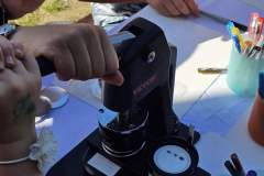 Obrazek-WhatsApp-2025-06-20-v-21.12.59_d07e4608