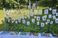 Obrazek-WhatsApp-2025-06-20-v-21.13.01_e9c47e4f