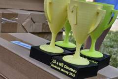 Obrazek-WhatsApp-2025-06-20-v-21.13.02_daa074c9